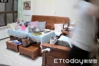 胖貓哥抓「多腳怪蟲」媽嚇壞尖叫　拿拖鞋飛奔弟還在狀況外