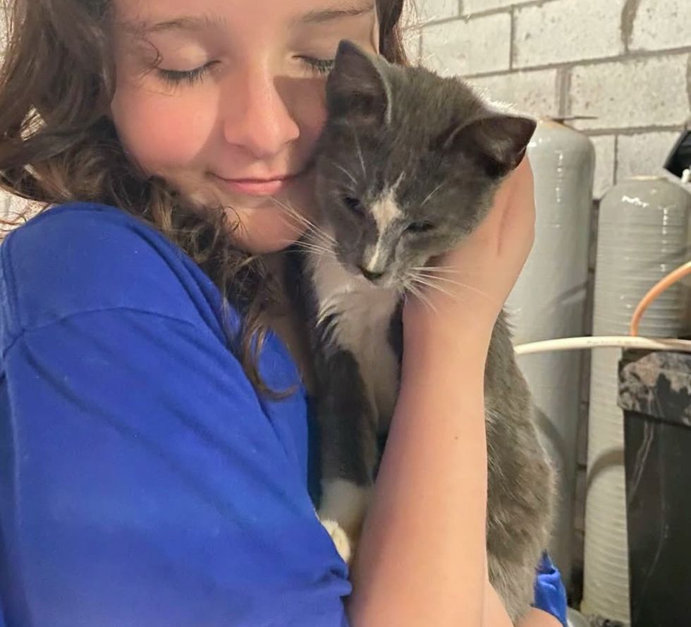 stray kitten cuddles