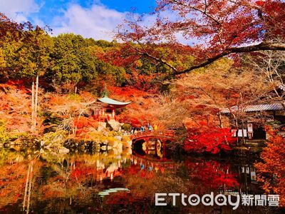 日本高溫破紀錄「賞楓期恐延後」　氣象專家：櫻花季也會縮短