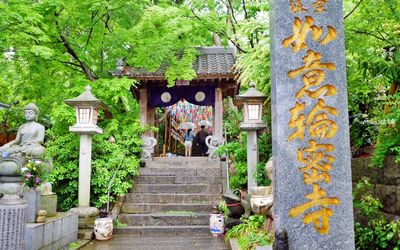 福岡青蛙神社「萬蛙雕像齊聚」超壯觀！還有可愛貓咪幫賣御守