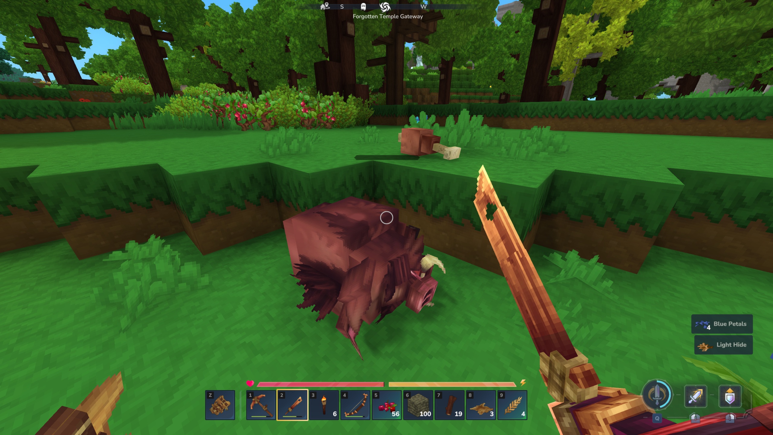 Hytale leather: A player standing over a boar while holding a copper sword, collecting its light hide.