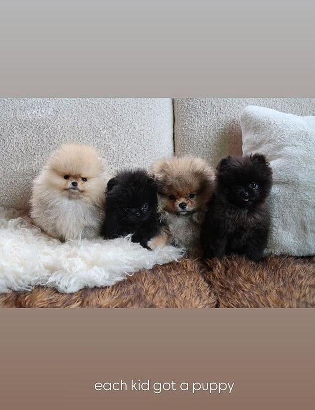 A photo shared by Kim Kardashian showing four pomeranian puppies