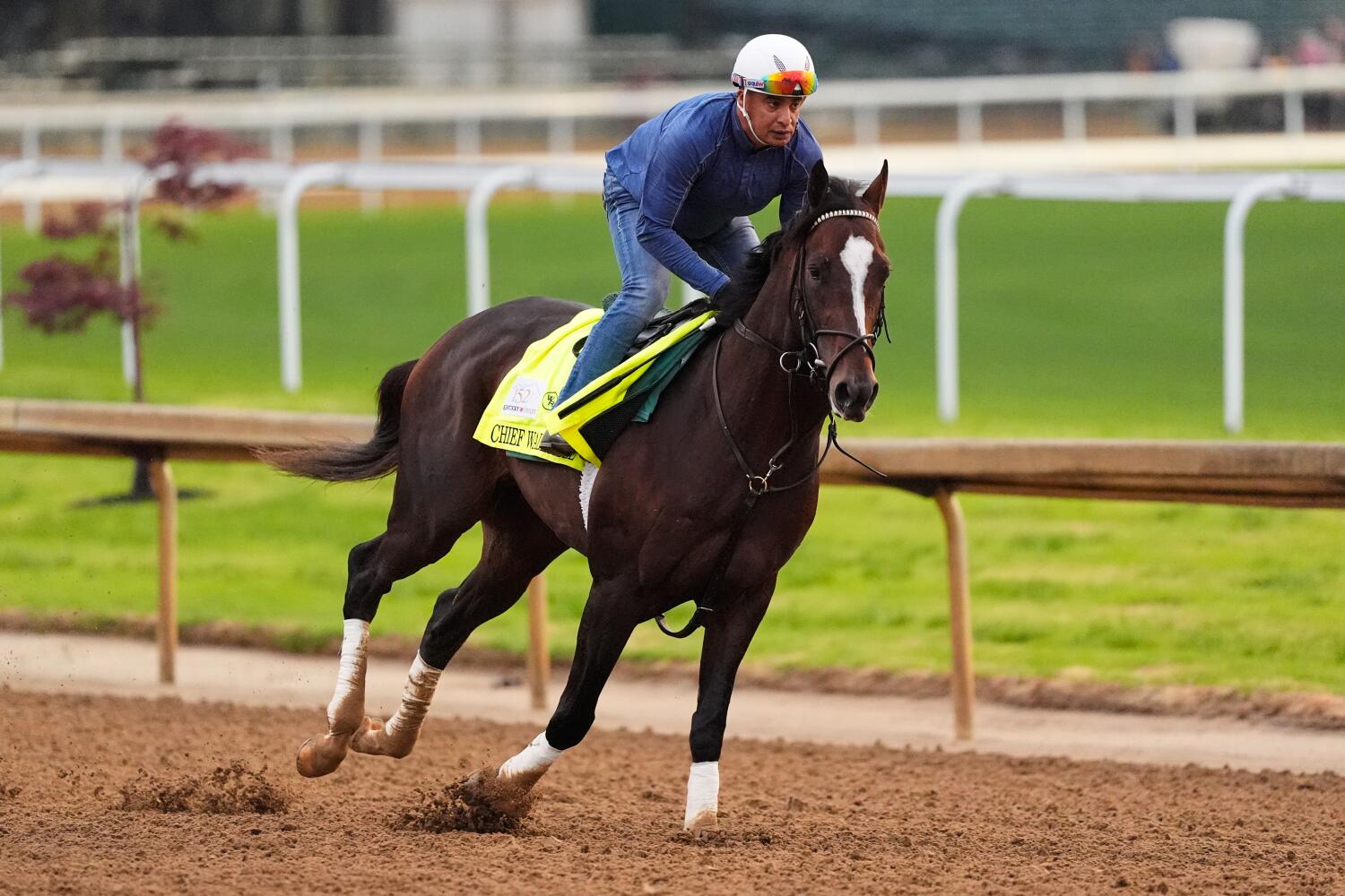 Kentucky Derby entrant Chief Wallabee works out at Churchill Downs Tuesday in Louisville, Ky.