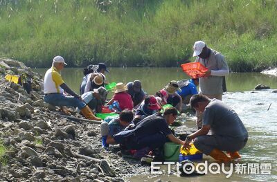豪雨重塑菜寮溪地貌　台南左鎮化石園區籲化石迷勿單獨行動