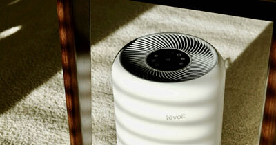 空氣清淨機「有助降血壓？」　最新研究證實了