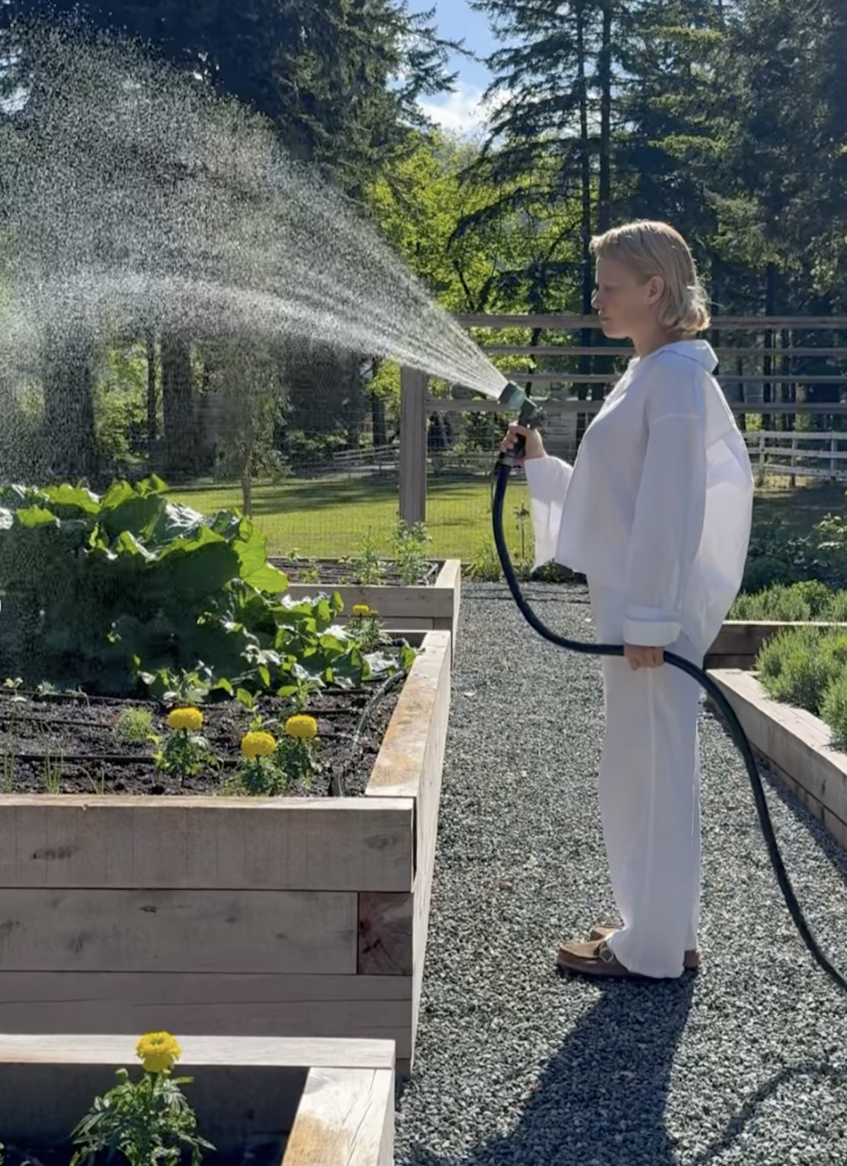 pamela anderson waters flowers in home garden