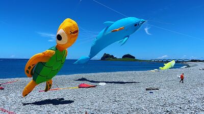 「30隻海洋生物風箏」9/28快閃台東　DIY全免費還能試吃生魚片