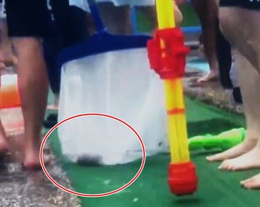 太噁！宜蘭童玩節戲水區驚現一坨糞便　緊急排水消毒