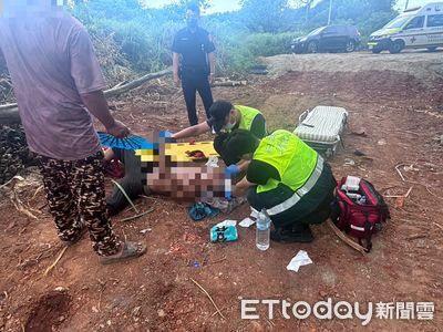 快訊／整地移除樹幹突從怪手上掉落　1人慘被砸中斷腿滿頭血