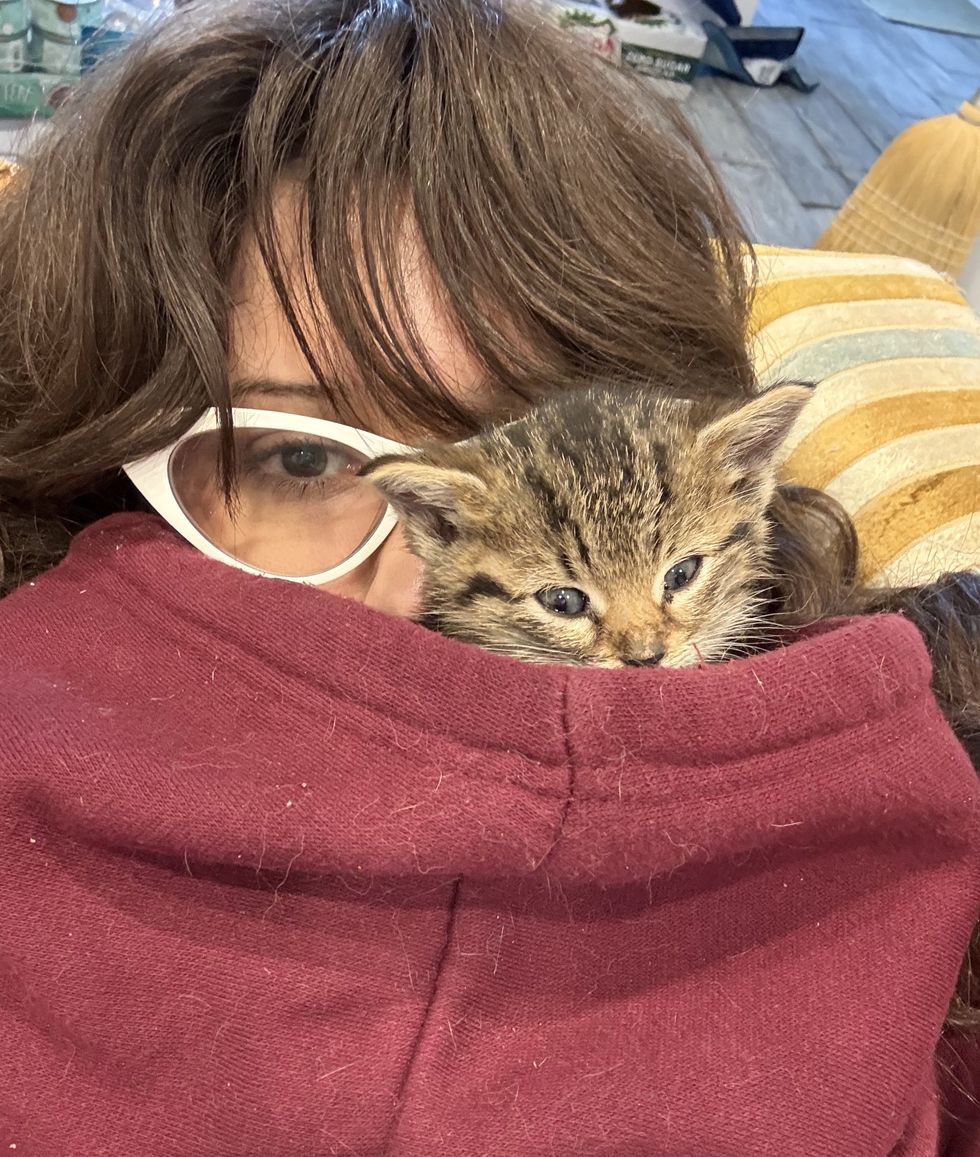 snuggly kitten hoodie