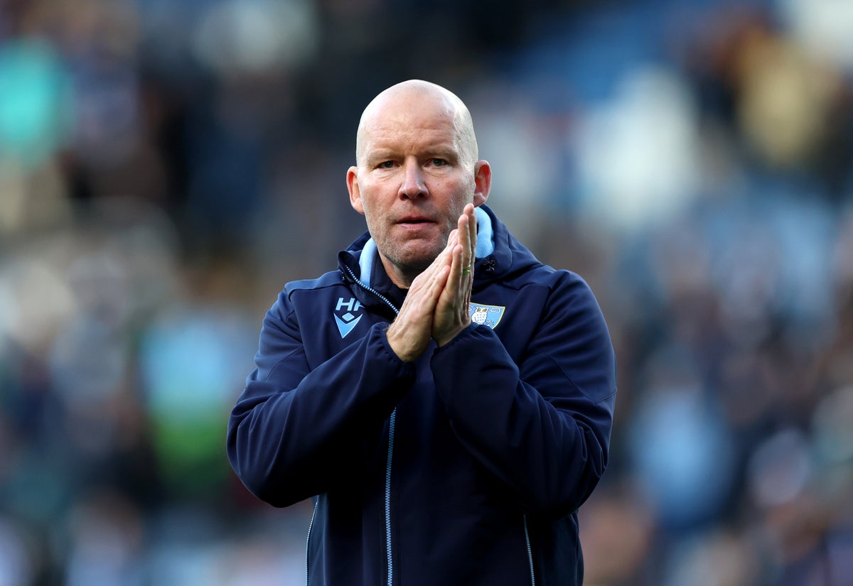 Wednesday manager Henrik Pedersen says he is determined to stabilise the club (Getty Images)