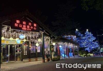 馬年將至！梨山梅花與燈光映照高山新年步調