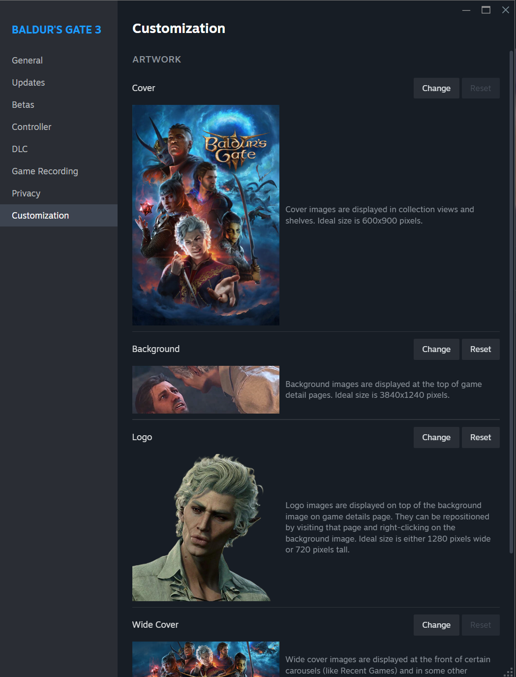 Examples of customising your Steam library games.