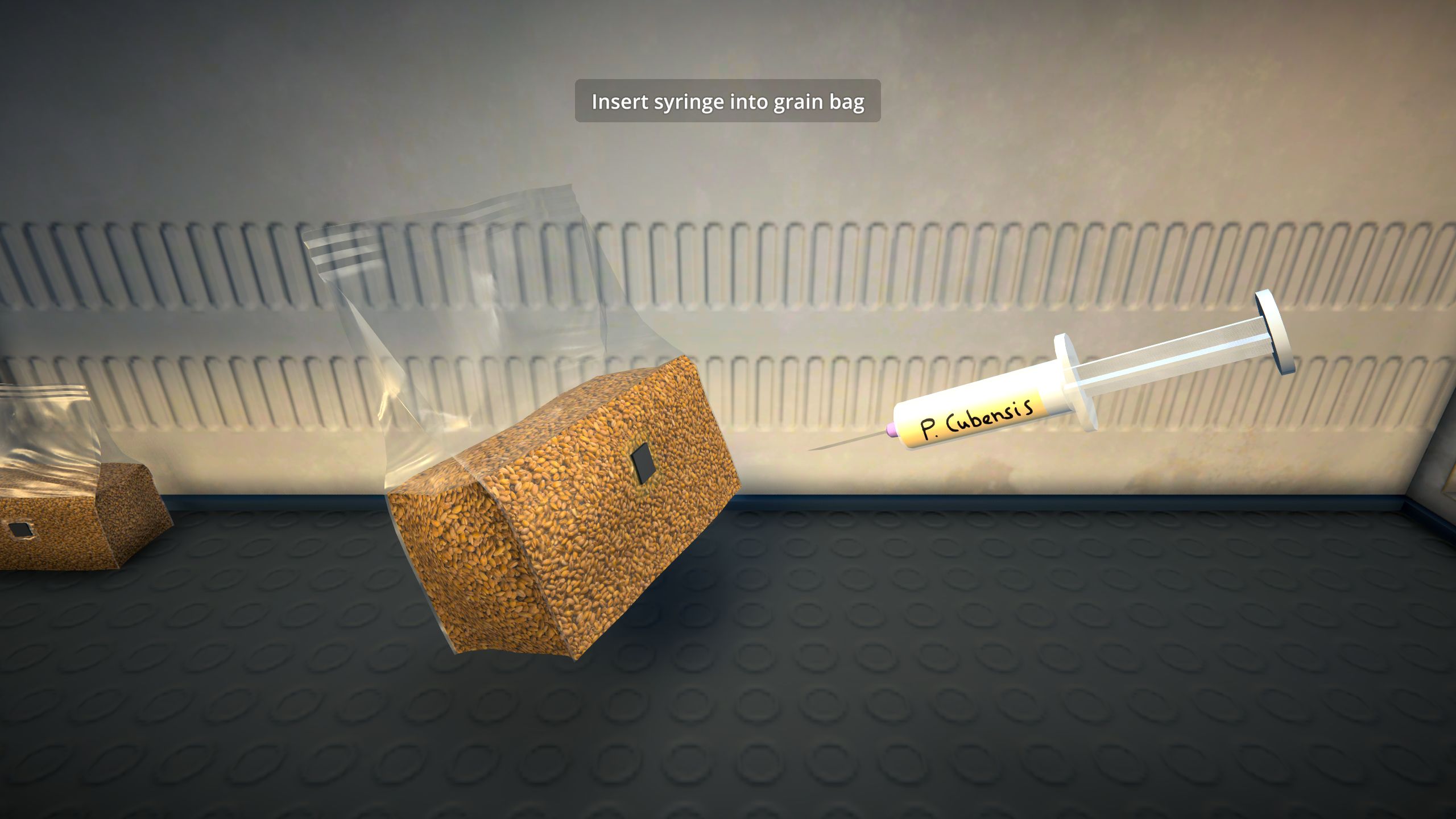 A spore syringe being inserted into a grain bag to grow shrooms in Schedule 1.