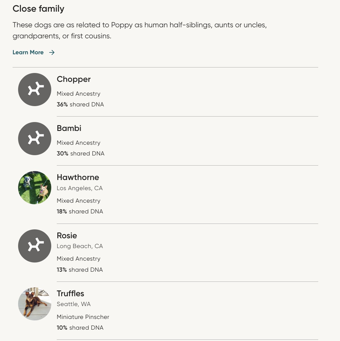 Poppy-Family-Embark-DNA-Test