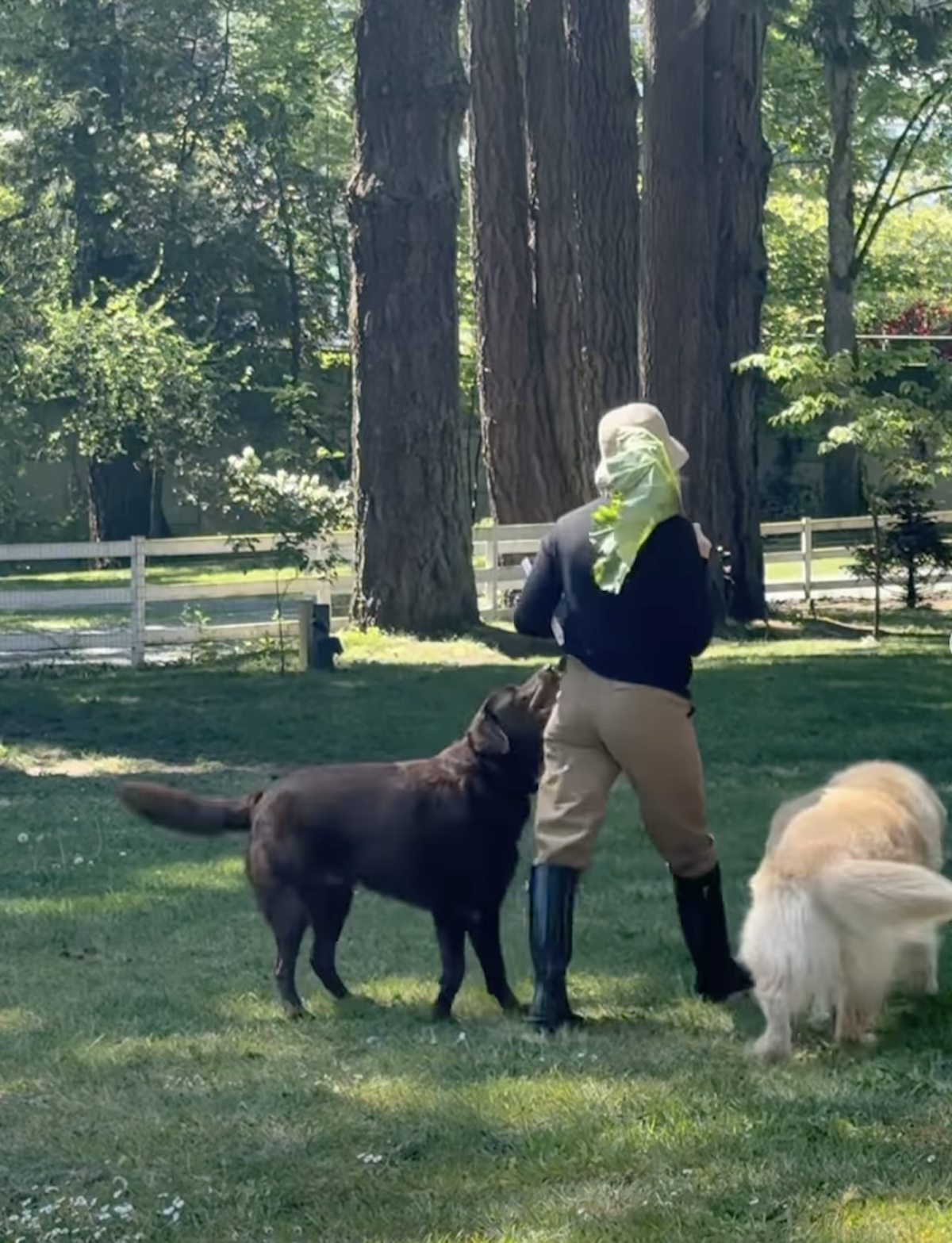 Pamela Anderson's Garden at Her Canada Home Photos of Her Oasis