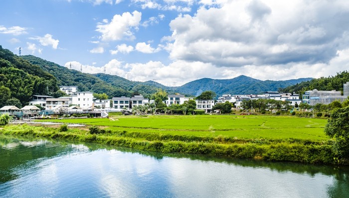 中央一号文件;乡村生态保护修复;见效;长效