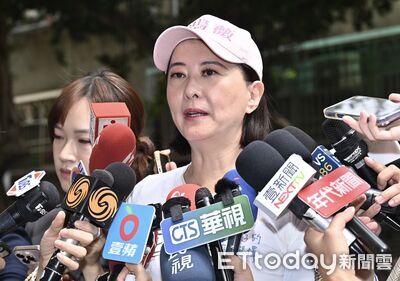 「公文檢討大罷免」被總統府打臉　王鴻薇2點回應再戰：造謠在哪裡