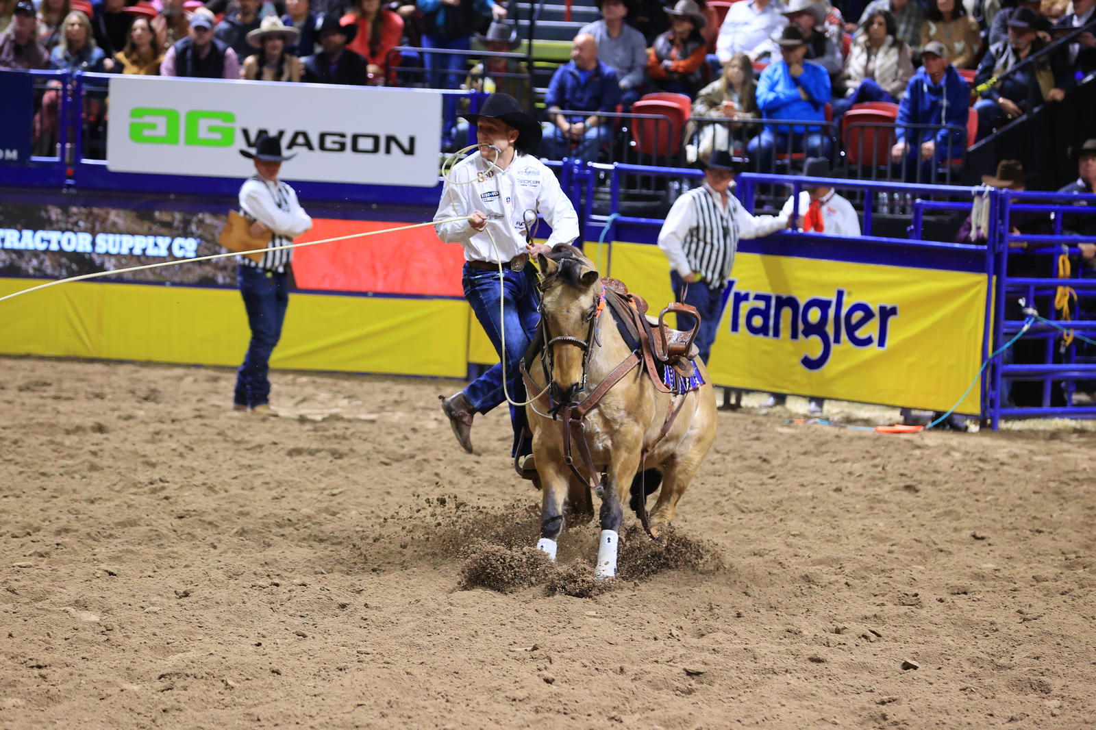 Joel and Pesos Round 6 Win - Jackie Jensen Photography