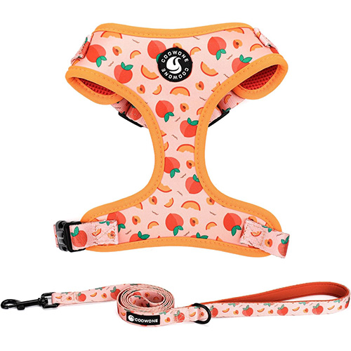 COOWONE DOG HARNESS AND LEASH SET
