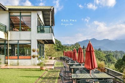 宛如置身瑞士鄉村！綿延山林不見盡頭　隱身桃園還有沙拉吧吃到飽