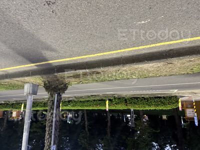 獨／高雄凌晨死亡車禍　騎士詭異自摔不治