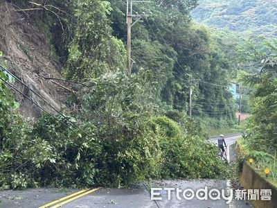 苗124線33.5K處路樹倒塌！佔據2車道　南庄警緊急排除