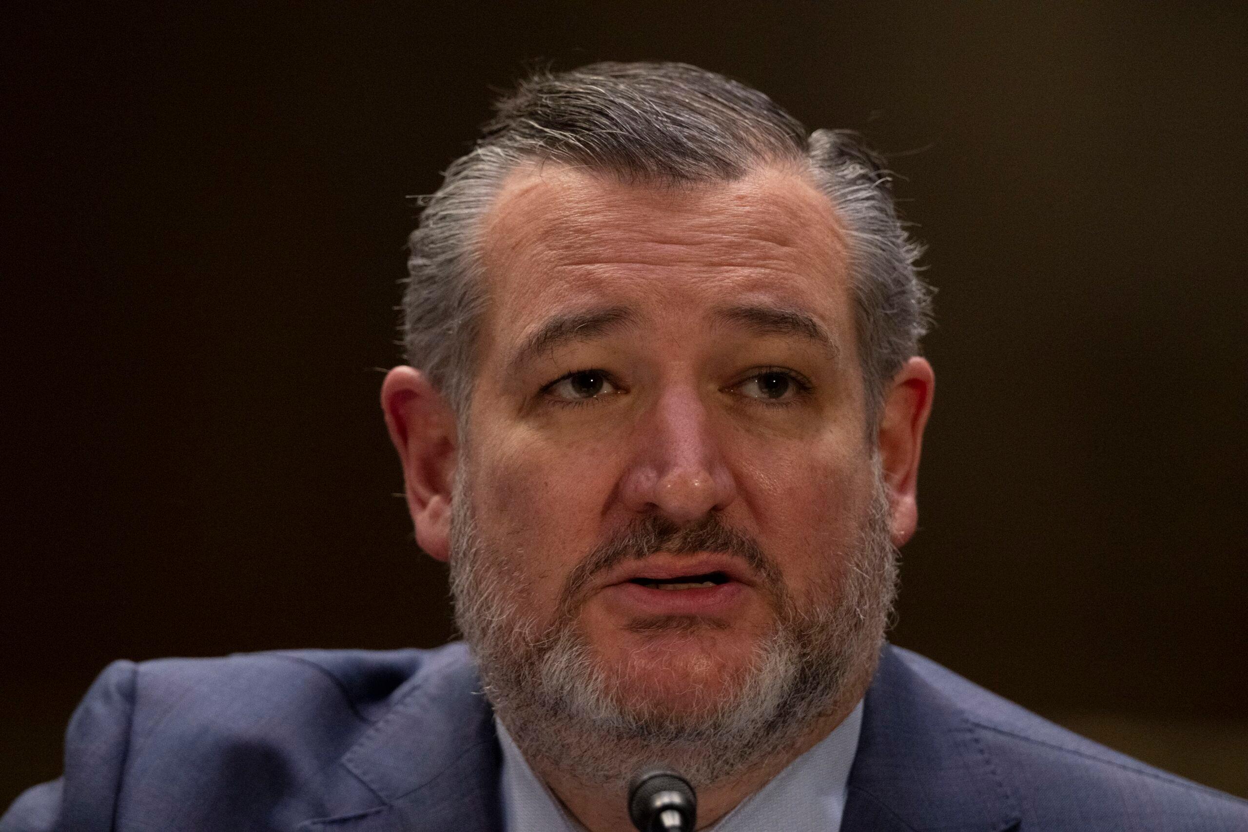 Ted Cruz at a hearing