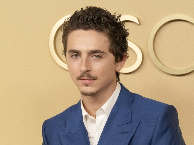 Timoth&eacute;e Chalamet at the 98th Oscars Nominees Luncheon: RED CARPET