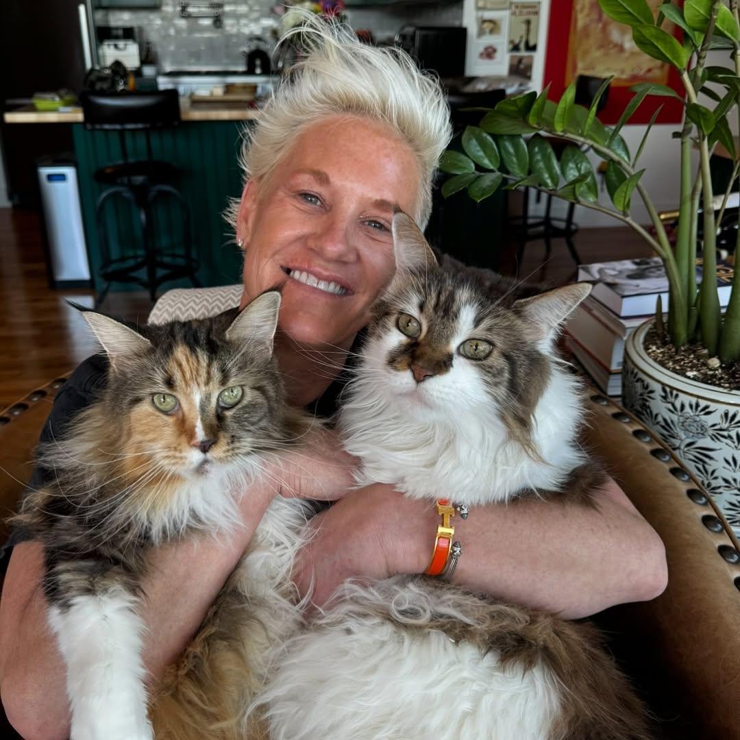 Anne Burrell and her cats
