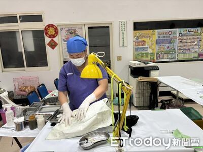 名額有限！高雄「犬貓絕育」補助開跑　每隻最高補1500元1人限2隻