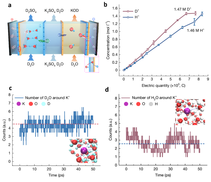 双极膜重水解离示意图及理论模拟
