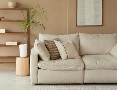 HOLA推普發加碼　零門檻現領「萬元折價券」