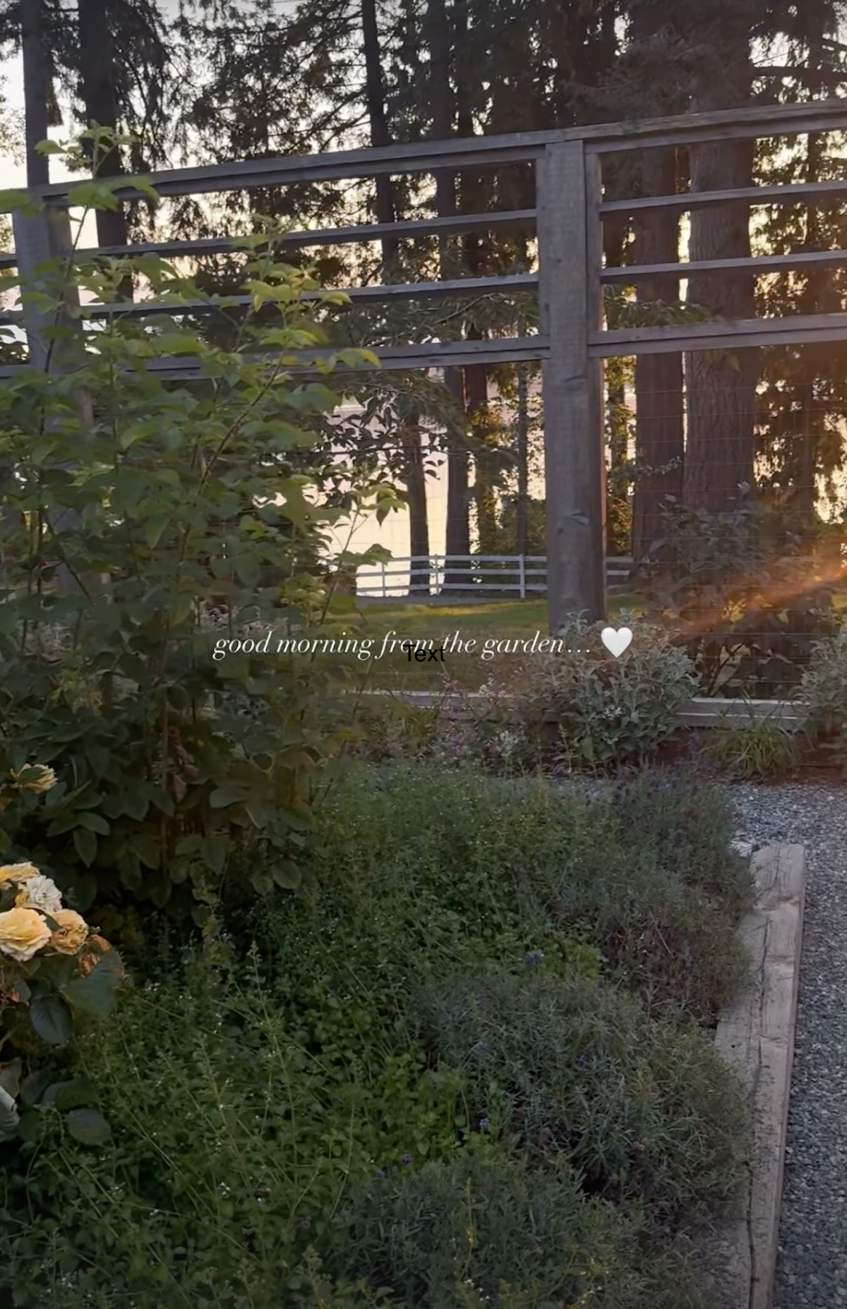 Pamela Anderson's Garden at Her Canada Home Photos of Her Oasis